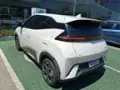 BYD Dolphin Mini - Miniatura 3