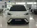 BYD Dolphin Mini - Miniatura 2