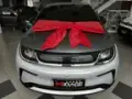 BYD Dolphin Plus - Miniatura 1