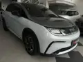 BYD Dolphin Plus - Miniatura 2