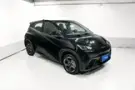BYD Dolphin Mini - Miniatura 3