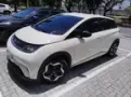 BYD Dolphin - Miniatura 13