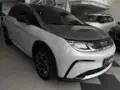 BYD Dolphin Plus - Miniatura 2