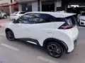BYD Dolphin Mini - Miniatura 3