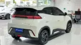 BYD Dolphin Mini - Miniatura 3