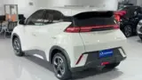 BYD Dolphin Mini - Miniatura 4