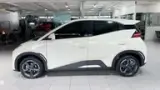 BYD Dolphin Mini - Miniatura 5