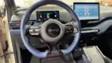 BYD Dolphin Mini - Miniatura 6