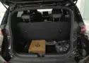 BYD Dolphin Mini - Miniatura 12