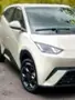 BYD Dolphin Mini - Miniatura 2
