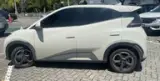 BYD Dolphin Mini - Miniatura 3