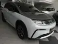 BYD Dolphin Plus - Miniatura 1