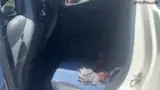 BYD Dolphin Mini - Miniatura 7