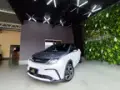 BYD Dolphin Plus - Miniatura 1