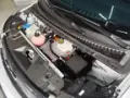 BYD Dolphin Plus - Miniatura 6