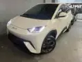 BYD Dolphin Mini - Miniatura 1