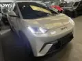 BYD Dolphin Mini - Miniatura 5