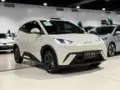 BYD Dolphin Mini - Miniatura 6