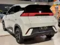 BYD Dolphin Mini - Miniatura 5