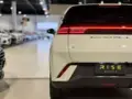 BYD Dolphin Mini - Miniatura 8