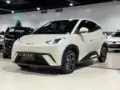 BYD Dolphin Mini - Miniatura 10