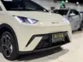 BYD Dolphin Mini - Miniatura 12
