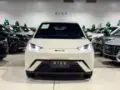 BYD Dolphin Mini - Miniatura 15