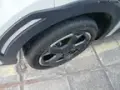 BYD Dolphin Mini - Miniatura 8