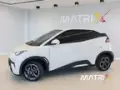 BYD Dolphin Mini - Miniatura 18