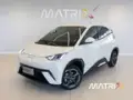 BYD Dolphin Mini - Miniatura 19