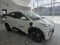 BYD Dolphin Mini - Miniatura 6