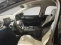 BYD King - Miniatura 9