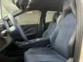 BYD Dolphin Mini - Miniatura 11
