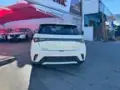 BYD Dolphin - Miniatura 13
