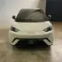 BYD Dolphin Mini - Miniatura 2