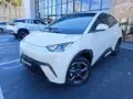 BYD Dolphin Mini - Miniatura 1