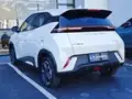 BYD Dolphin Mini - Miniatura 4