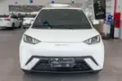 BYD Dolphin Mini - Miniatura 2