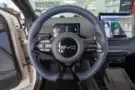 BYD Dolphin Mini - Miniatura 8