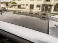 BYD Dolphin Plus - Miniatura 11