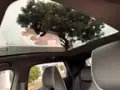 BYD Dolphin Plus - Miniatura 19