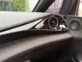 BYD Dolphin Plus - Miniatura 20