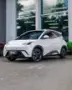 BYD Dolphin Mini - Miniatura 1