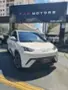 BYD Dolphin Mini - Miniatura 1