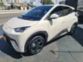 BYD Dolphin Mini - Miniatura 5