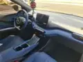 BYD Dolphin Mini - Miniatura 11