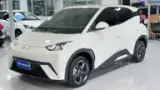 BYD Dolphin Mini - Miniatura 2
