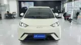 BYD Dolphin Mini - Miniatura 4