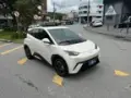 BYD Dolphin Mini - Miniatura 1