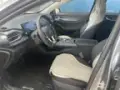 BYD King - Miniatura 10